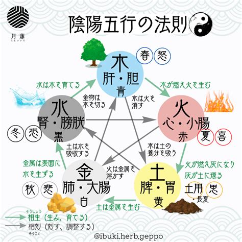 陰陽五行 季節|陰陽五行説 – 陰陽道・五行説をわかりやすく解説【図。